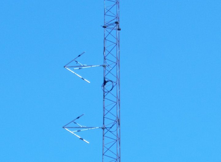 FM Antenna